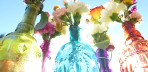 Flowers in Bottles